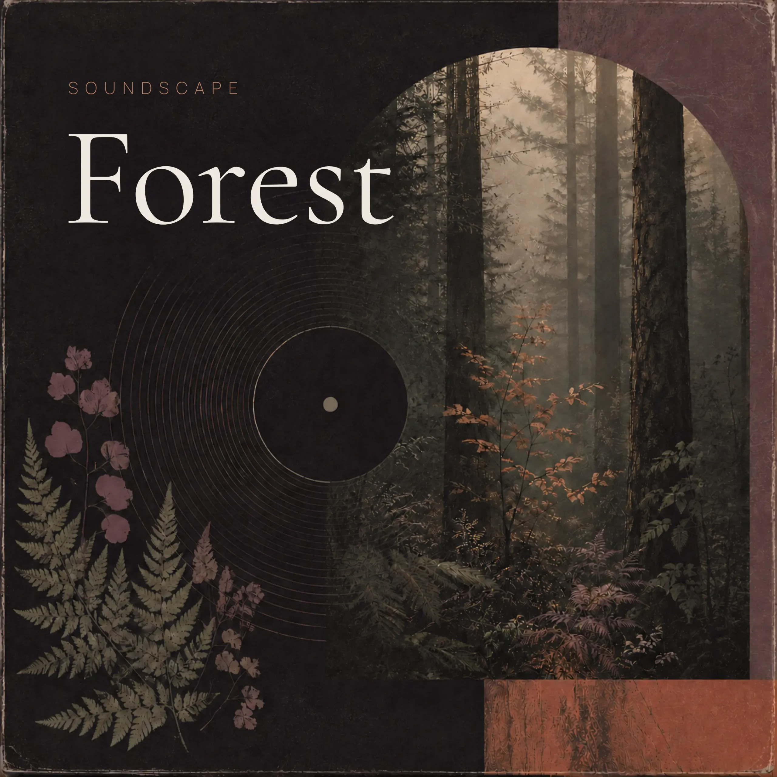 Copertina Forest — Soundscape Meditation